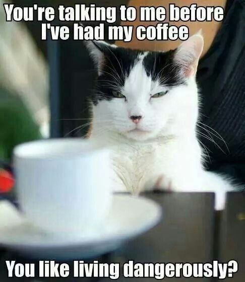 Coffee Memes: The Ultimate Collection [40+ MEMES]