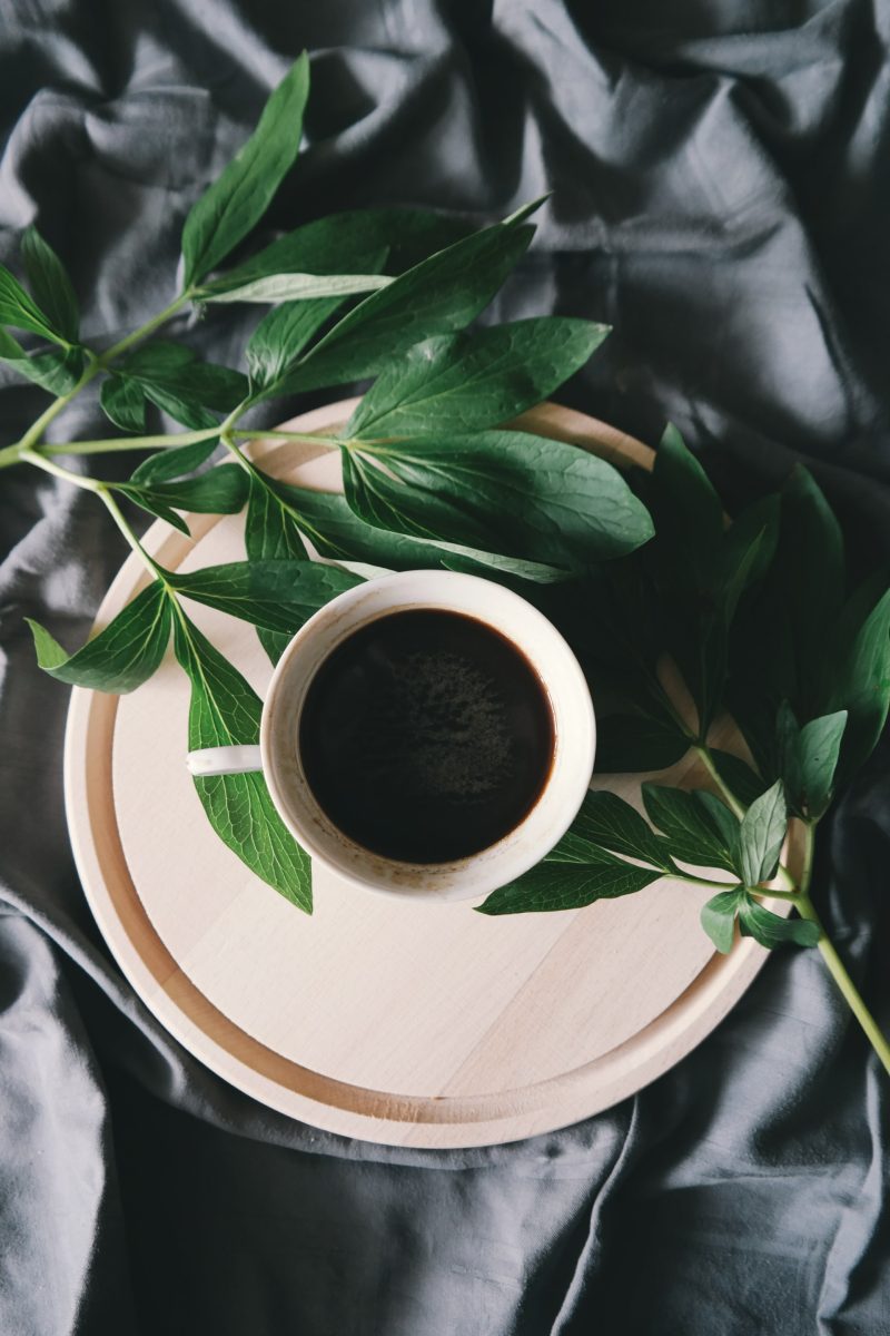 How to Reduce BPA in Coffee: 12 Tips From the Pros
